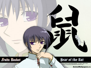 Картинка аниме fruits basket