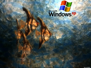 Картинка компьютеры windows xp