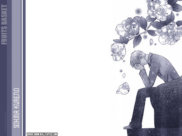 Обои картинки фото аниме, fruits, basket