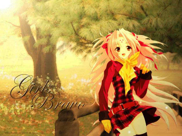 Обои картинки фото аниме, girls, bravo