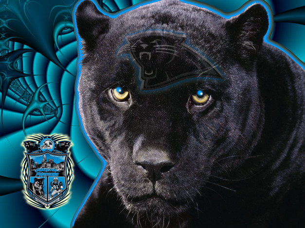 Обои картинки фото спорт, 3d, рисованные