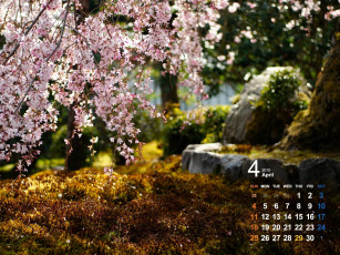 Картинка календари природа