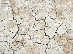 Картинка разное текстуры