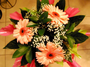 Картинка цветы букеты композиции гипсофила герберы зелень