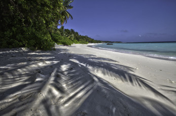 Картинка природа тропики мальдивы