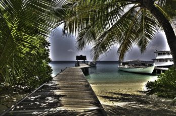 Картинка природа тропики мальдивы