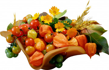 Картинка еда помидоры календула физалис