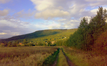 Картинка природа дороги дорога деревня поле лес деревья