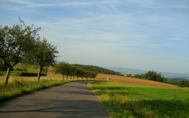 Обои картинки фото природа, дороги, дорога, деревья, поля