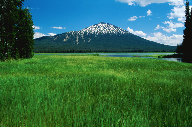 Обои картинки фото природа, горы, луг, небо, гора, деревья