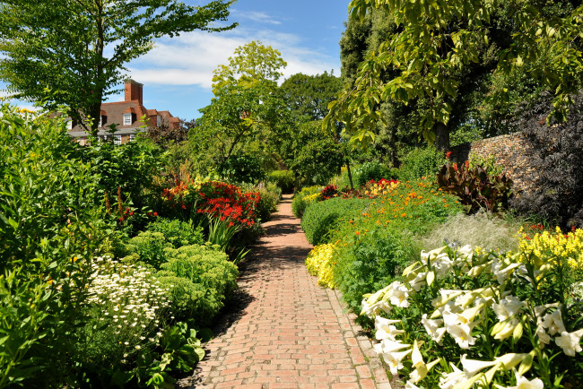 Обои картинки фото природа, парк, дорожка, стена, деревья, цветы