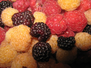 обоя еда, малина, ягоды, витамины