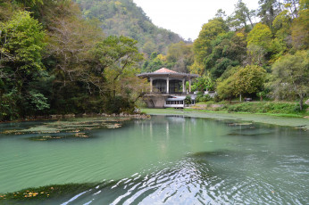 Картинка новый афон абхазия природа парк