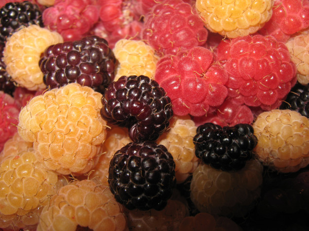 Обои картинки фото еда, малина, ягоды, витамины