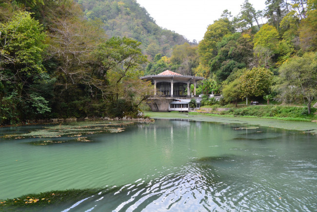 Обои картинки фото новый, афон, абхазия, природа, парк