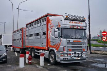 обоя scania, автомобили, scania , выставка, улица, контейнеровоз, тягач, грузовик