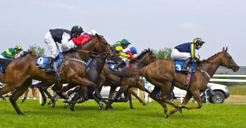 Картинка спорт конный+спорт скачки лошади наездники ипподром