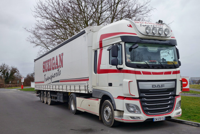 Обои картинки фото daf, автомобили, daf , выставка, улица, контейнеровоз, грузовик, тягач