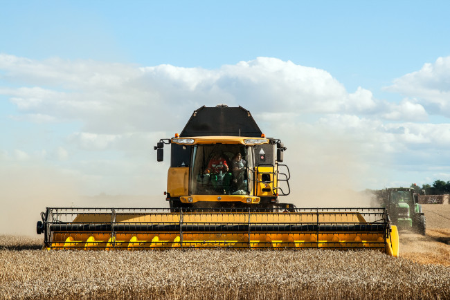 Обои картинки фото техника, комбайны, жатва, поле, комбайн