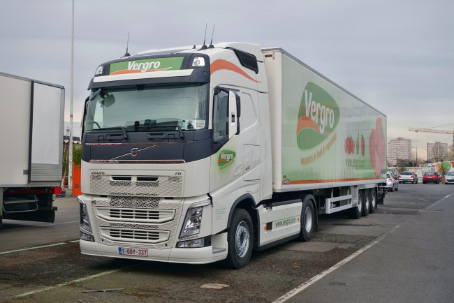 Обои картинки фото volvo, автомобили, volvo trucks , выставка, улица, контейнеровоз, тягач, грузовик