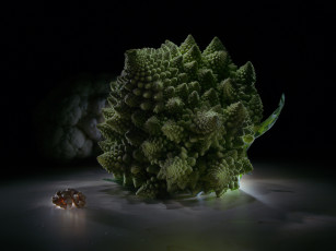 Картинка еда капуста+и+её+разновидности цветная капуста