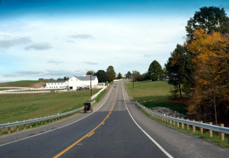 Картинка природа дороги повозка