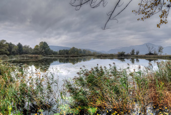 Картинка природа реки озера горы лес река