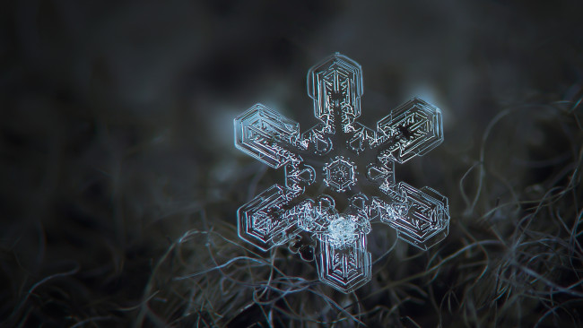 Обои картинки фото природа, макро, снежинка