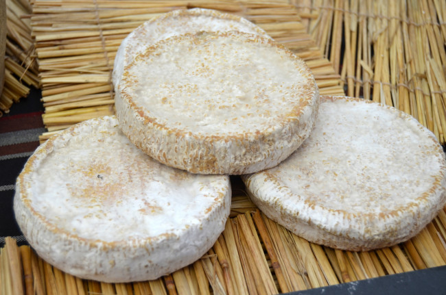 Обои картинки фото atzar, еда, сырные изделия, сыр