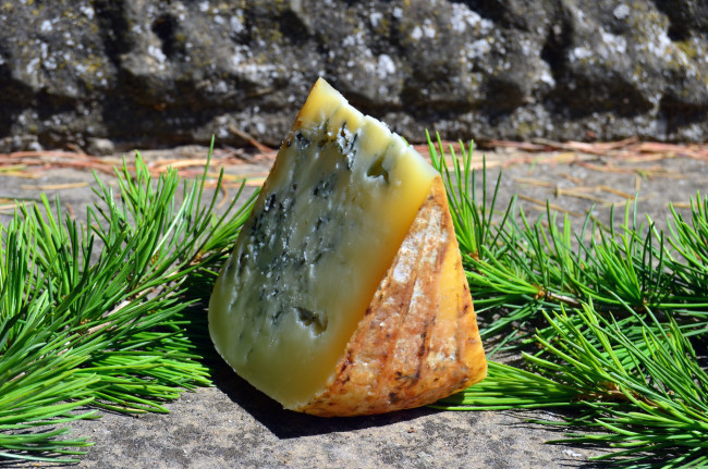 Обои картинки фото blau gadea artesans, еда, сырные изделия, сыр