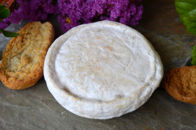 Обои картинки фото craba ta&, 252, ll, еда, сырные изделия, сыр