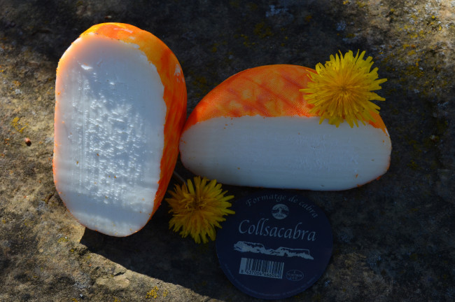 Обои картинки фото еда, сырные изделия, сыр