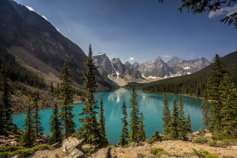 Картинка природа реки озера лес река