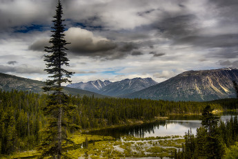 Картинка природа реки озера лес река