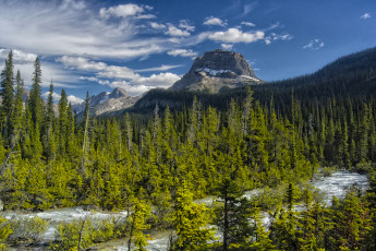 Картинка природа реки озера река лес