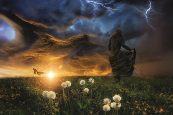 Картинка девушки -unsort+ креатив девушка луг тучи молния гроза одуванчики бабочка