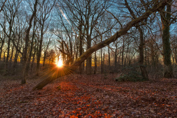 Картинка природа восходы закаты рассвет