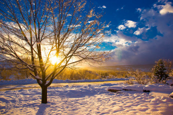 Картинка природа зима снег