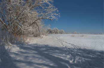 Картинка природа зима снег