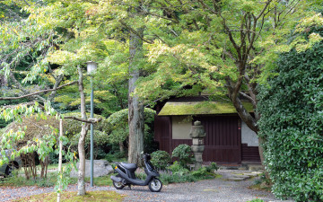 Картинка природа парк мопед здание фонари кусты зелень