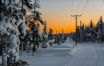 Картинка природа зима снег