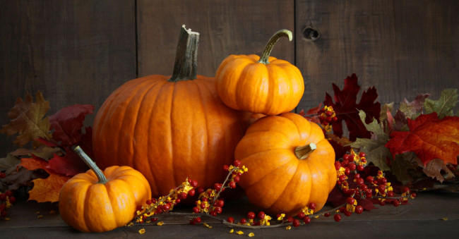 Обои картинки фото еда, тыква, осень, урожай