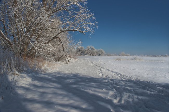 Обои картинки фото природа, зима, снег