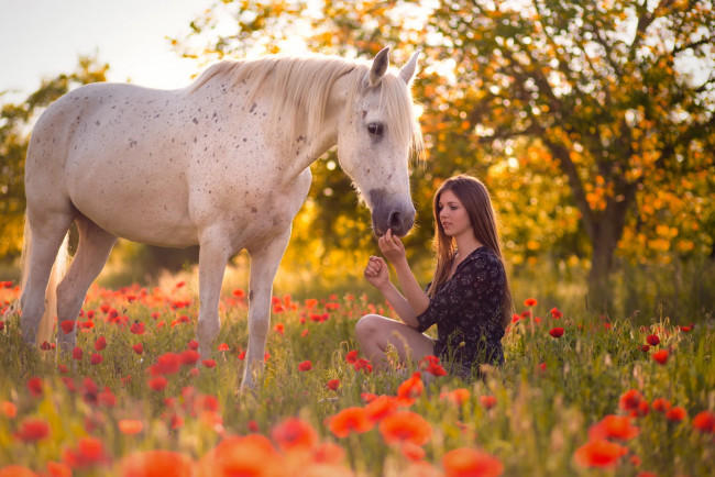 Обои картинки фото девушки, -unsort , брюнетки,  шатенки, девушка, конь, лето, маки