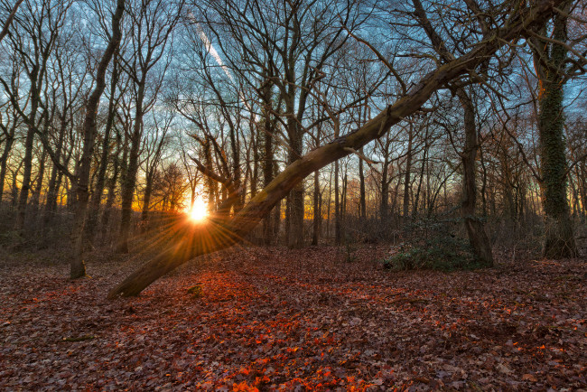 Обои картинки фото природа, восходы, закаты, рассвет