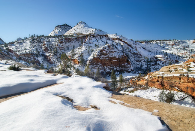 Обои картинки фото природа, зима, снег