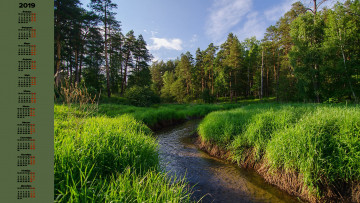 Картинка календари природа растения деревья водоем