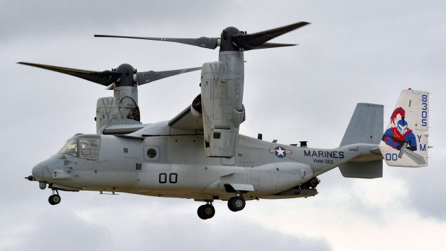 Обои картинки фото авиация, другое, ввс