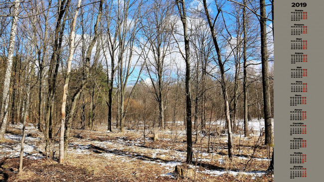 Обои картинки фото календари, природа, деревья