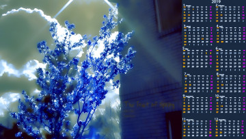 Картинка календари рисованные +векторная+графика дом облако растение цветы